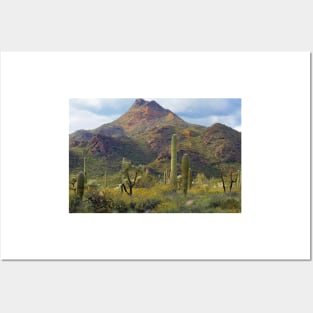 Saguaro And Teddybear Cholla Posters and Art